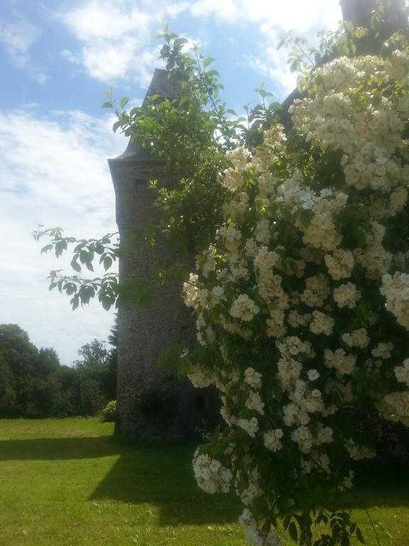 Manoir De La Branche Bed & Breakfast Maen Roch Exterior foto