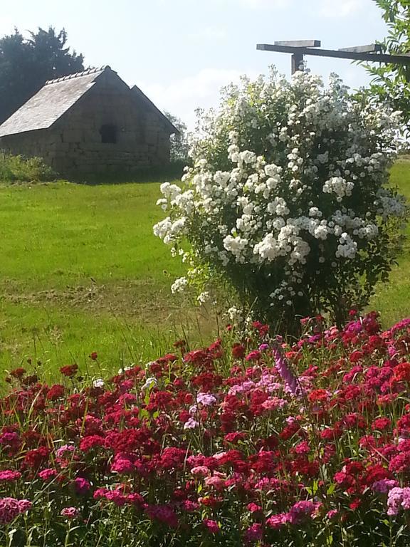 Manoir De La Branche Bed & Breakfast Maen Roch Exterior foto