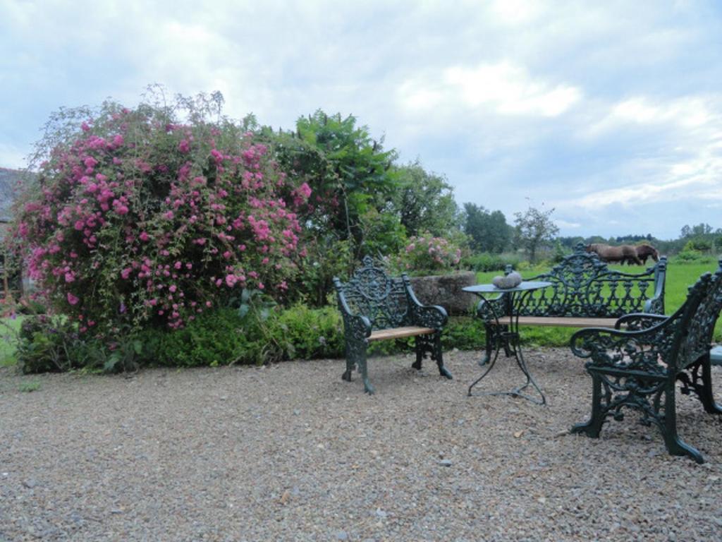 Manoir De La Branche Bed & Breakfast Maen Roch Exterior foto