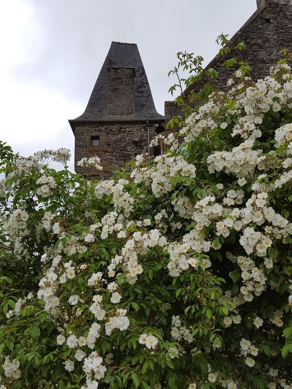 Manoir De La Branche Bed & Breakfast Maen Roch Exterior foto