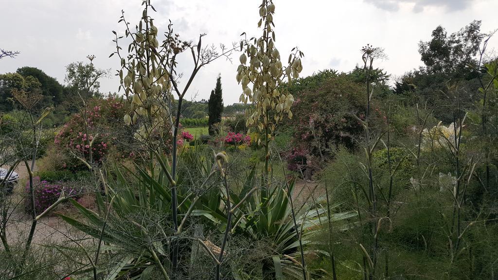 Manoir De La Branche Bed & Breakfast Maen Roch Exterior foto