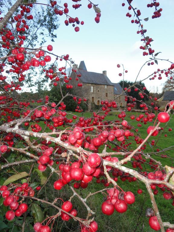 Manoir De La Branche Bed & Breakfast Maen Roch Exterior foto