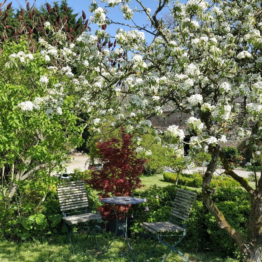 Manoir De La Branche Bed & Breakfast Maen Roch Exterior foto